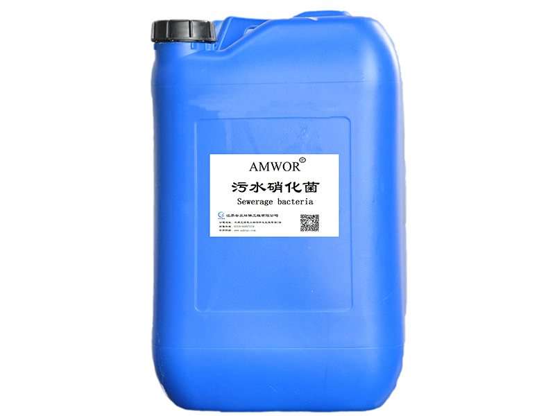 高效反硝化細(xì)菌